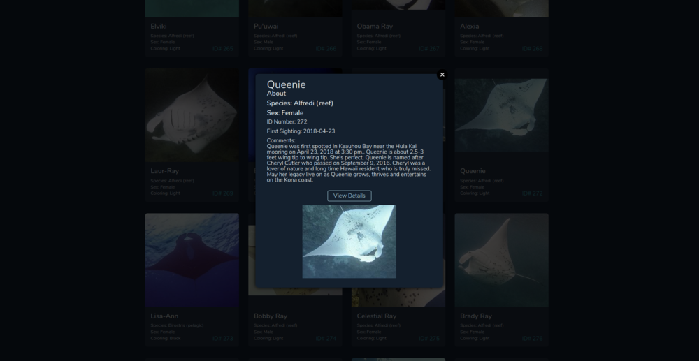 New Website - Popup Home Page -Manta Ray ID Project.png