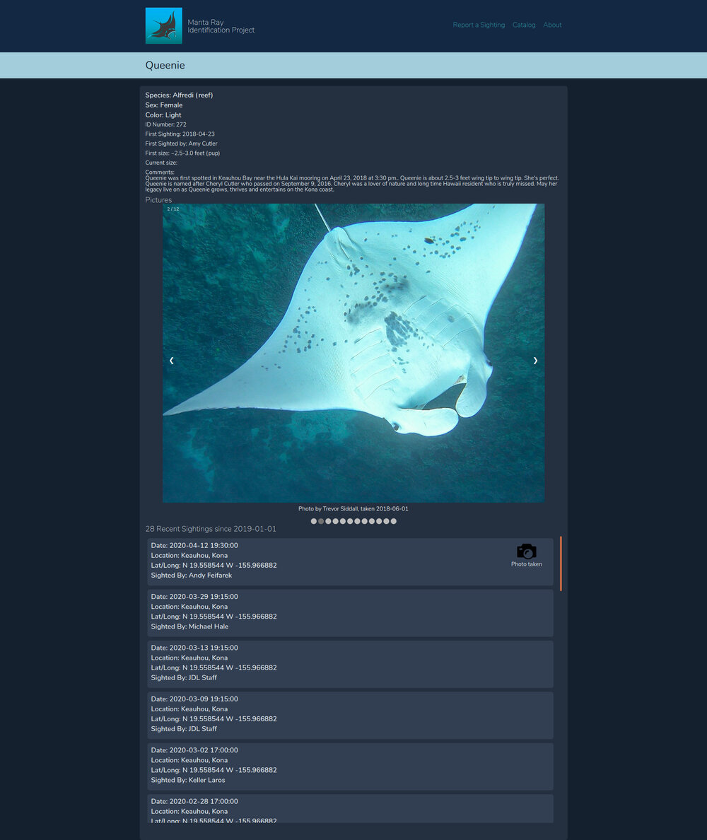 New Website Detail Page - Queenie - Manta Ray ID Project.jpg